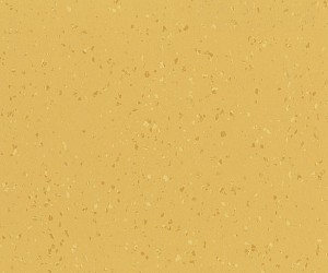 Buttered corn 8656