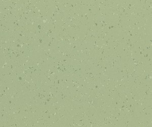 Crisp apple 8653