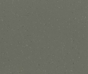 Dried tarragon 8644
