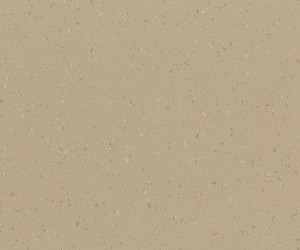 Pecan crunch 8646