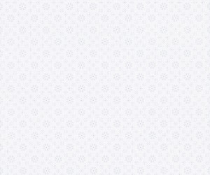 5298-1