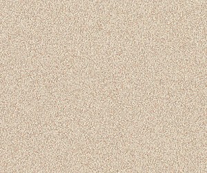 PX2002 Cuttlefish
