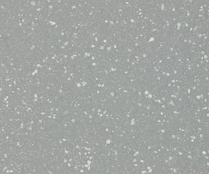 AQI2008 Tern