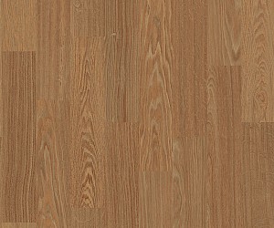 AFW280017 Birnam Oak