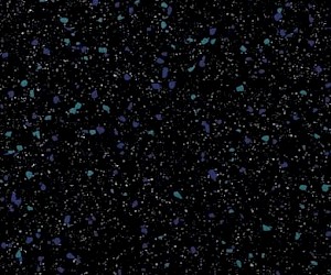 XLI2256 Nightfall