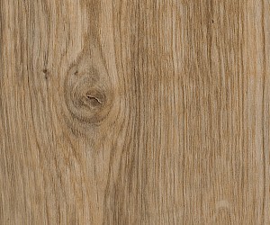 SB5W2533 Featured Oak