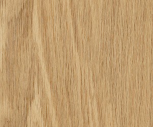 SB5W3010 Linden Oak