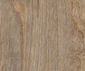 SX5W2516 Bleached Elm