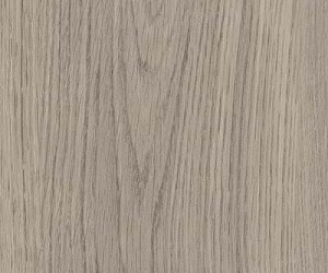 SX5W2656 Mountain Oak