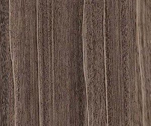 SX5W7780 Shibori Sencha