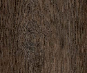 SF3W2779 Station Oak