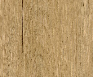 FS7W6190 Hanningfield Oak