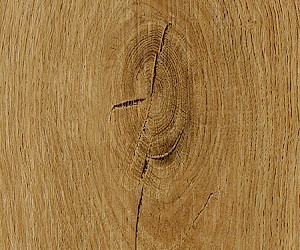 FS7W6210 Langdom Oak