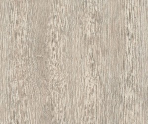 FS7W8570 Seaboard Oak