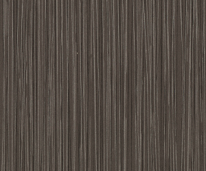 AM5ALA21 Linear Metallic Steel