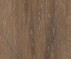 AM5W7970 Manor Oak