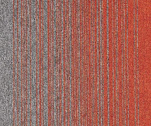 Cobalt Creations 6384238