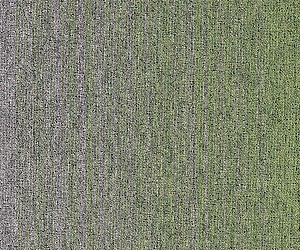 Cobalt Creations 6384273