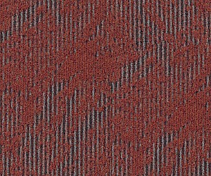 Normandy 595_38