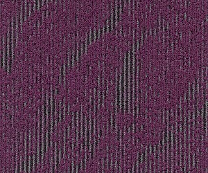 Normandy 595_83