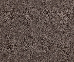 President E 533_32