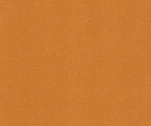 Burnt-orange-9981