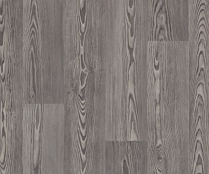 Silvered-pine-9964