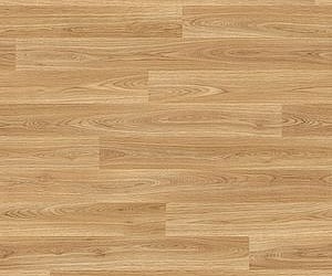 American oak 3385