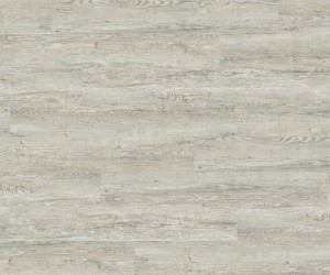 Cracked white oak 9871