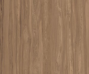 Class Wood Walnut