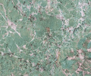 Marmoker Caribbean Green