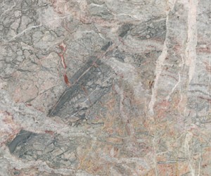 Marmoker Fior Di Pesco