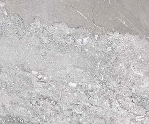 Marmoker Breccia Carsica