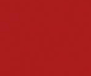 Basicwall Glossy RAL 304060