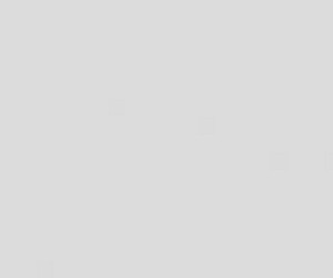 Basicwall Glossy RAL 0008500