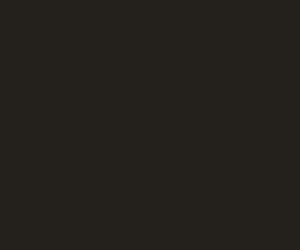 Basicwall Matt RAL 0001500