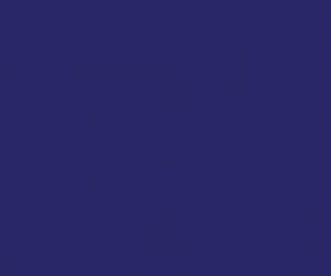Basicwall Matt RAL 2902035