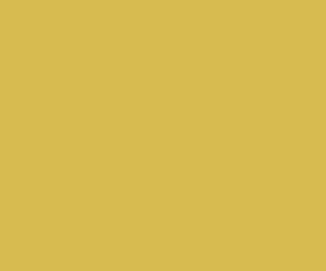 Basicwall Matt RAL 0858070