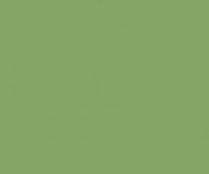 Basicwall Matt RAL 1306050