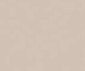 Basicwall Matt RAL 0508010