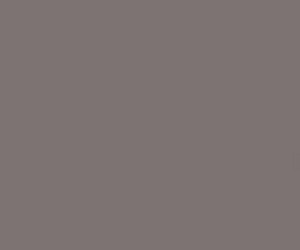 Basicwall Matt RAL 0805005