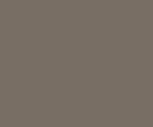 Basicwall Matt RAL 0805010