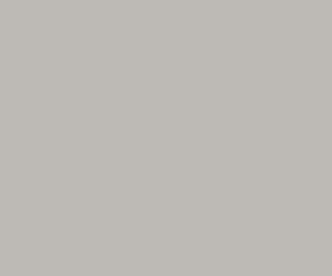 Basicwall Matt RAL 0607005