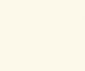 Basicwall Matt RAL 0709010