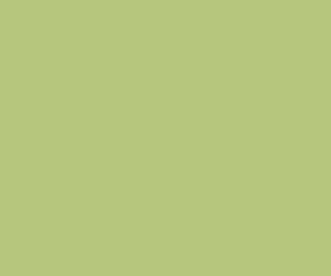 Basicwall Matt RAL 1208050