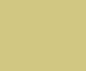Basicwall Matt RAL 0908040