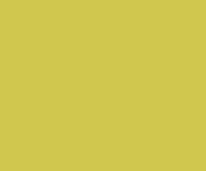 Basicwall Matt RAL 0958070