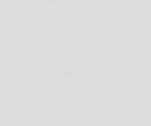 Basicwall Matt RAL 0008500