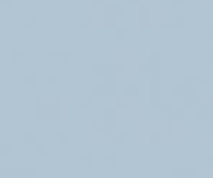 Basicwall Matt RAL 2408015