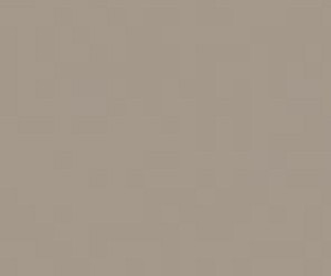 Basicfloor & Wall Klinkkeri RAL 0607010